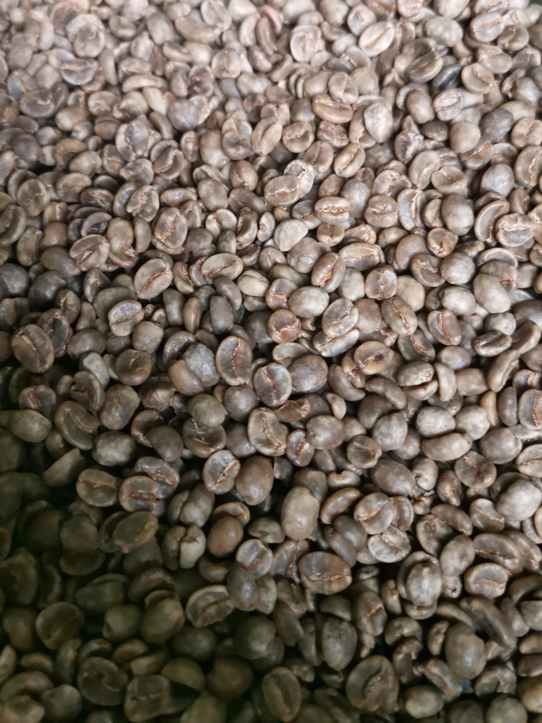 Roasting decaffeinated coffee - Sidewalk Coffee Company