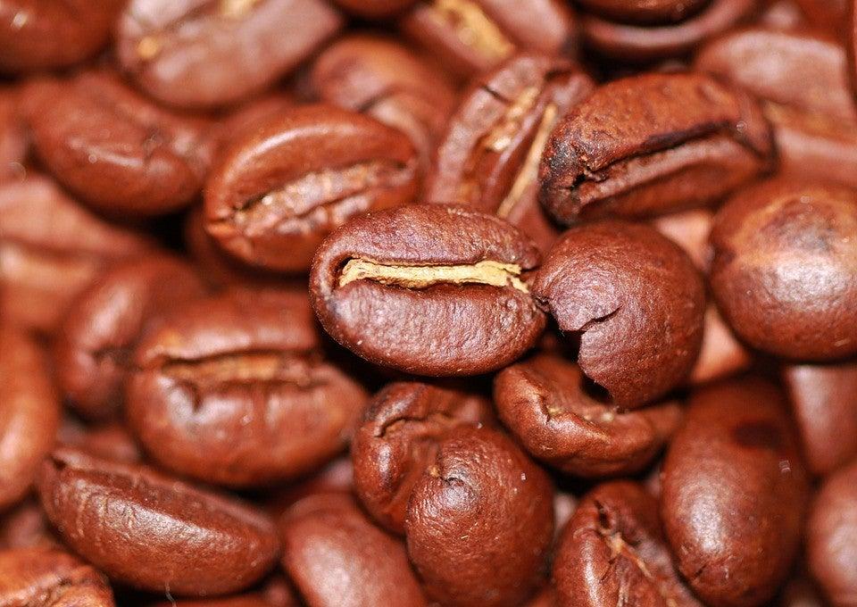 Coffee bean sampling team - Sidewalk Coffee Company