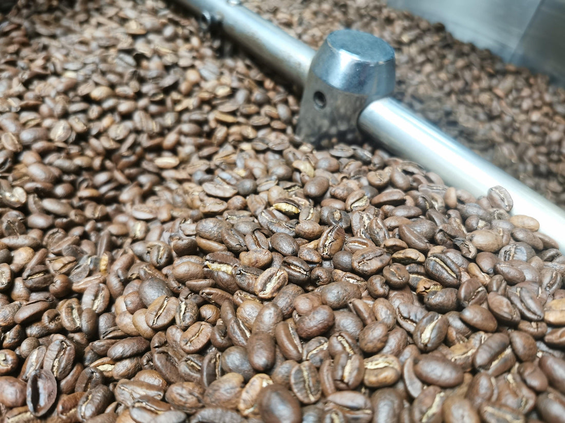 First Roast - Colombian Excelso 10% - Sidewalk Coffee Company